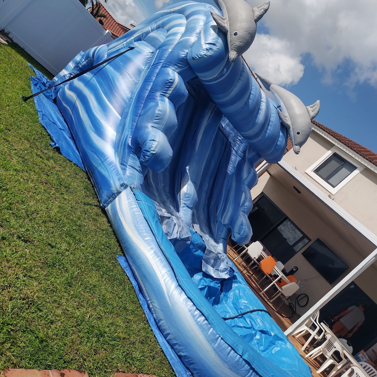 Dolphins Water Slide with Pool 2