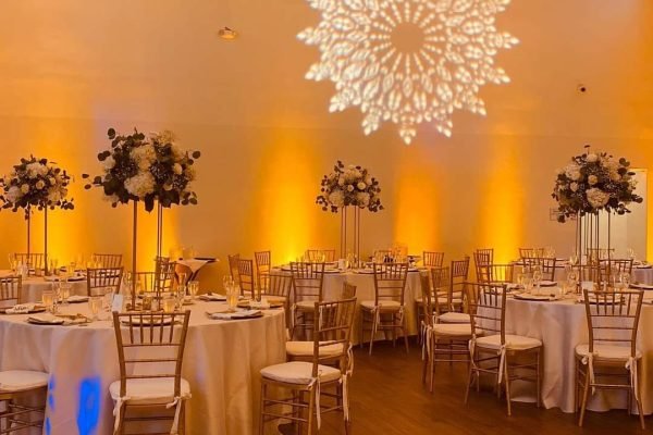 314755767_533405185461042_1457148855924241905_n